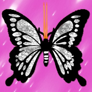 butterflies: 2216