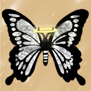 butterflies: 260