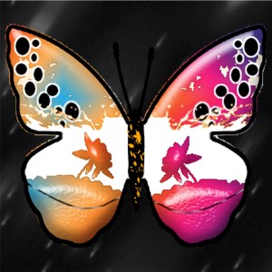 butterflies: 2086