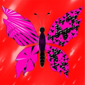 butterflies: 1973
