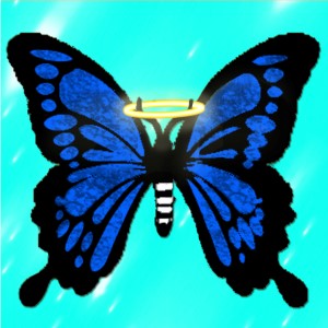 butterflies: 1571