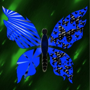 butterflies: 572