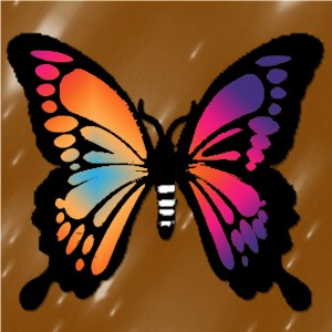 butterflies: 1636