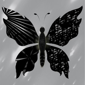 butterflies: 635