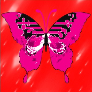butterflies: 87