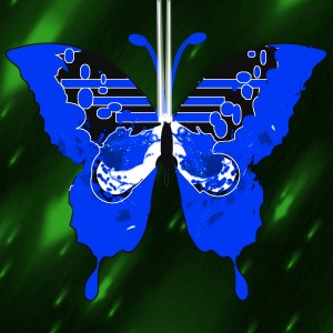butterflies: 1575