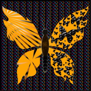 butterflies: 1969
