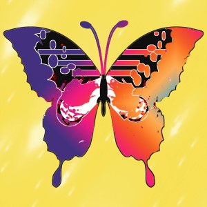 butterflies: 938