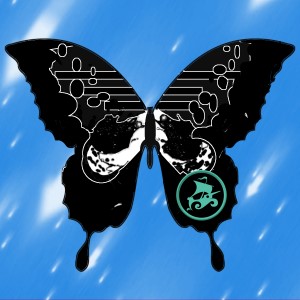 butterflies: 906