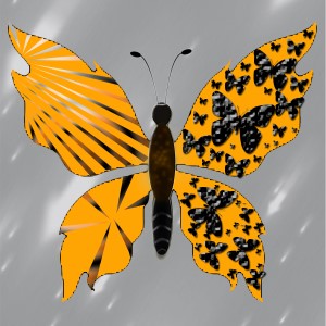 butterflies: 1534