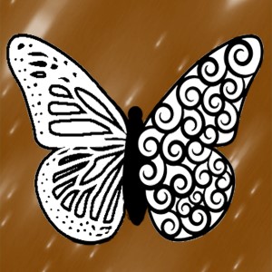 butterflies: 1604