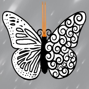 butterflies: 1136