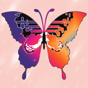 butterflies: 481