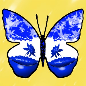 butterflies: 418