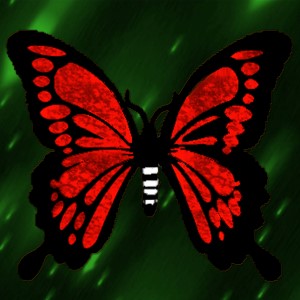 butterflies: 784