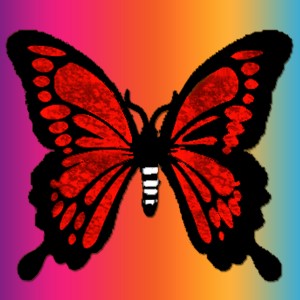 butterflies: 1339