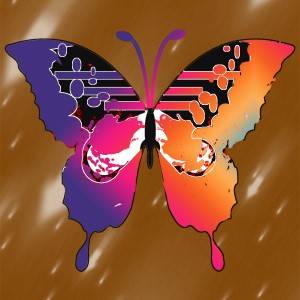 butterflies: 292