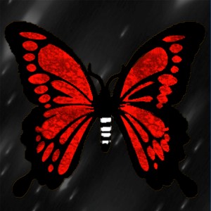 butterflies: 1404