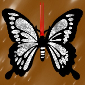 butterflies: 355