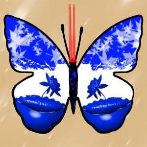 butterflies: 1876