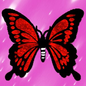 butterflies: 1612