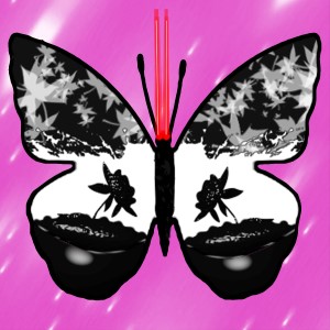 butterflies: 2014