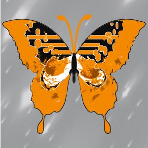 butterflies: 902