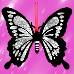 butterflies: 1547