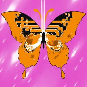 butterflies: 1063