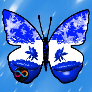 butterflies: 2058