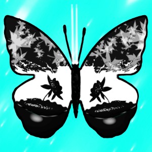 butterflies: 2010