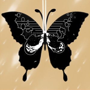 butterflies: 1616