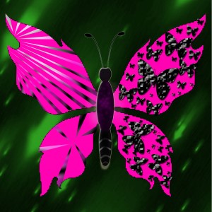 butterflies: 1185