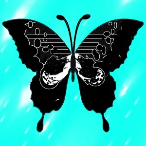 butterflies: 1677