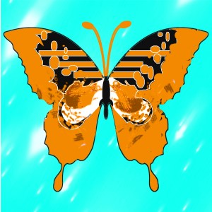 butterflies: 772