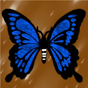 butterflies: 2192