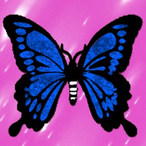 butterflies: 190