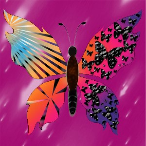 butterflies: 300