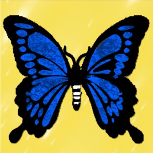 butterflies: 127