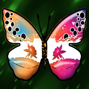 butterflies: 383