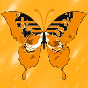 butterflies: 851