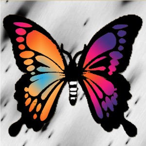 butterflies: 316
