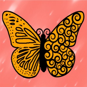 butterflies: 48