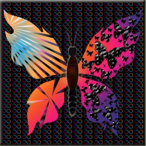 butterflies: 918