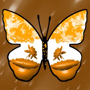 butterflies: 1628