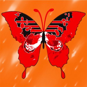 butterflies: 505