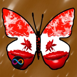 butterflies: 1144