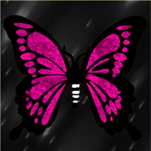 butterflies: 1140