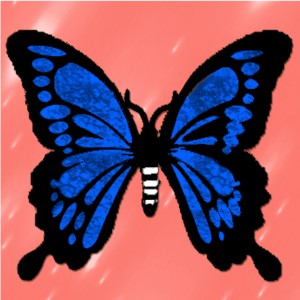 butterflies: 1510