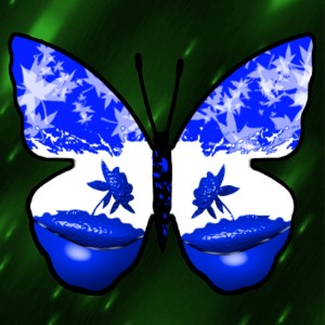 butterflies: 520
